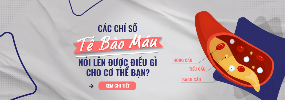 chỉ số tế bào máu nóI lên điều gì