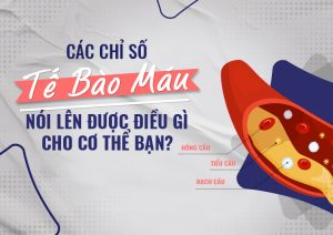 xét nghiệm chỉ số máu